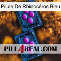 Pilule De Rhinocéros Bleu 03